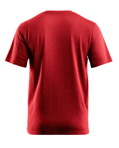 Espalda Remera